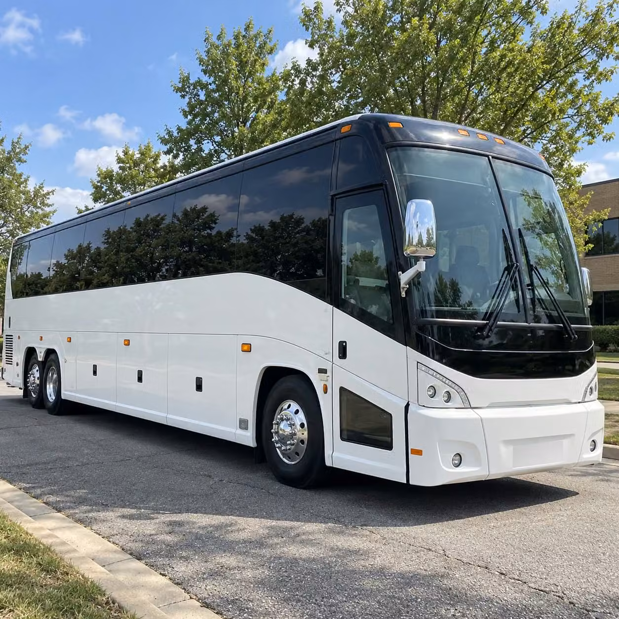 corpus christi bachelorette party pub crawl private event bus rentals