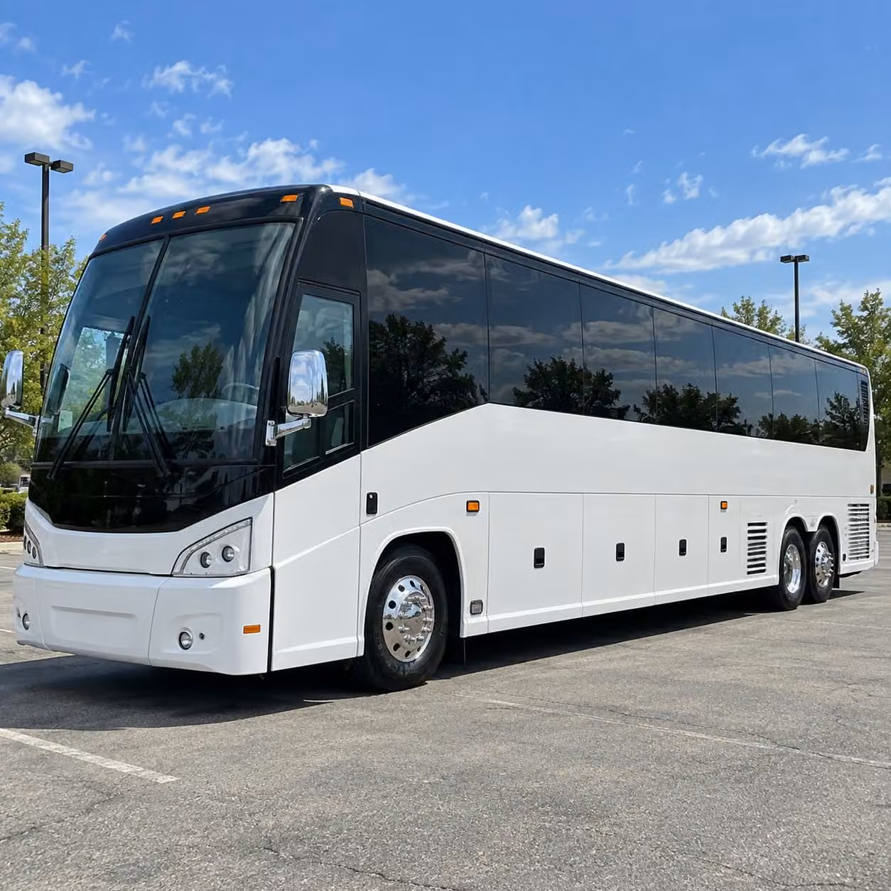 corpus christi zoo harbor bridge and stem destination field trip transportation