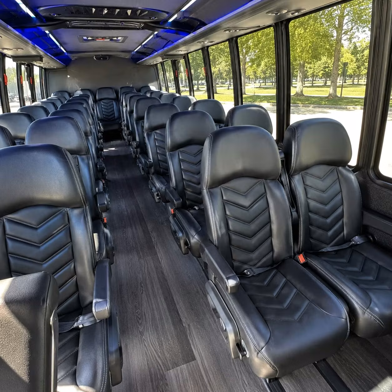 prom homecoming transportation services in corpus christi